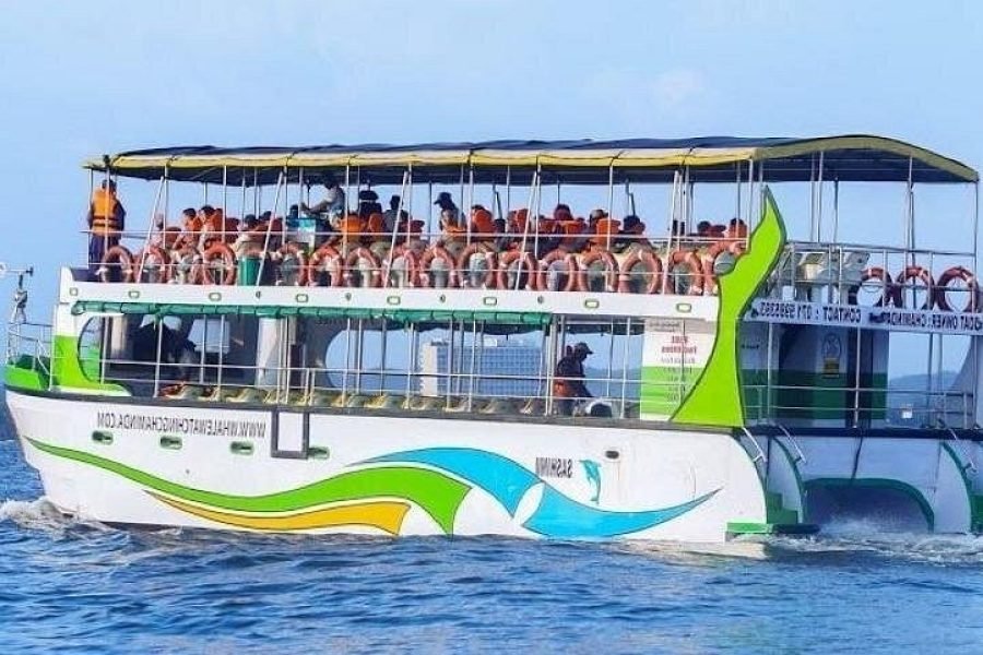 Whales and Dolphins Watching-Luxury Super Grade Cruiser(Hotel Pick up offered)