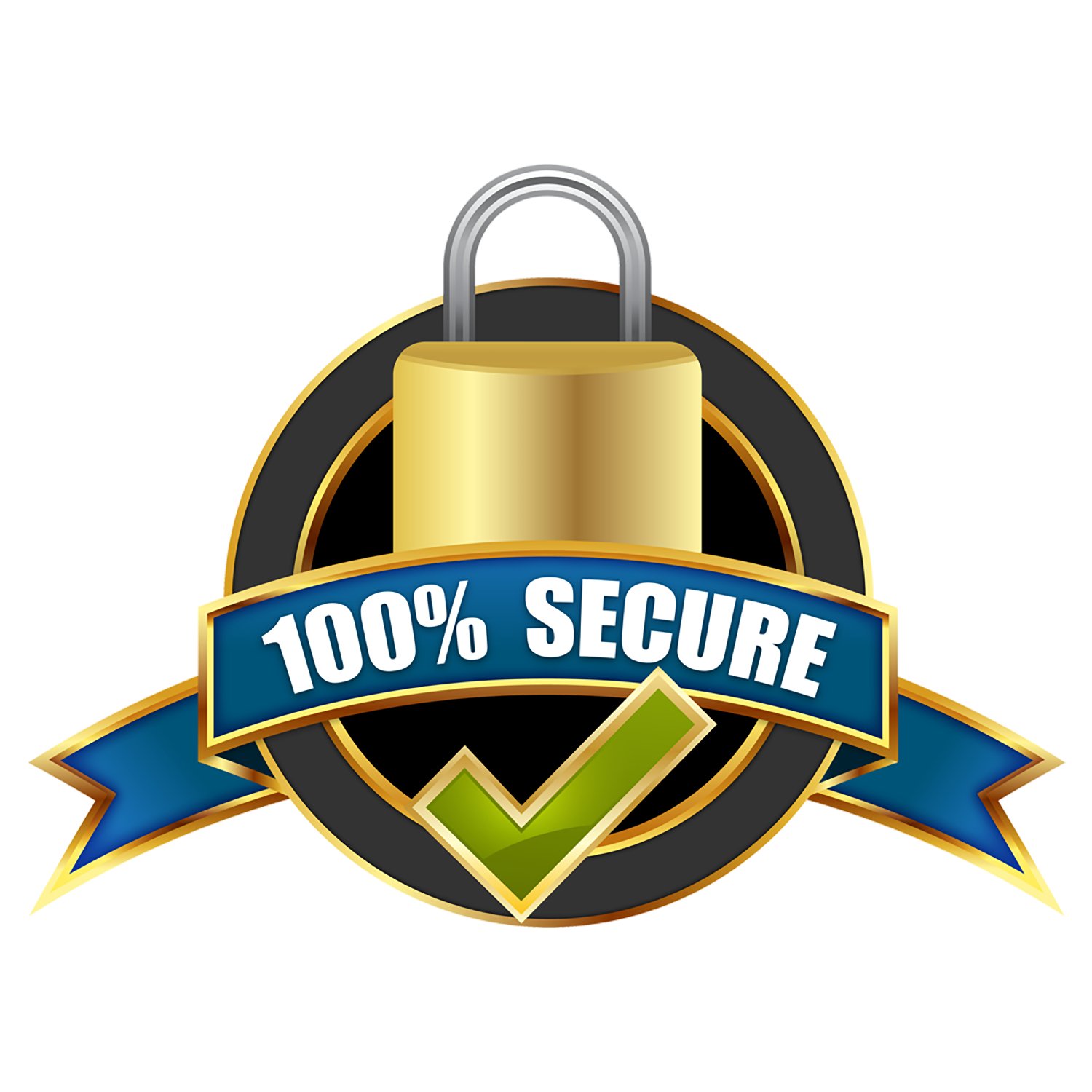 100% Secure Payment
